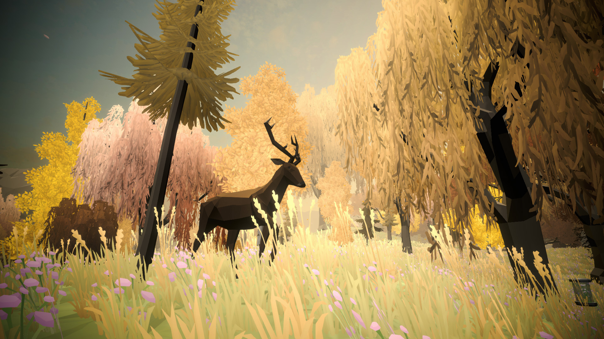 Unlocked screenshot 7
