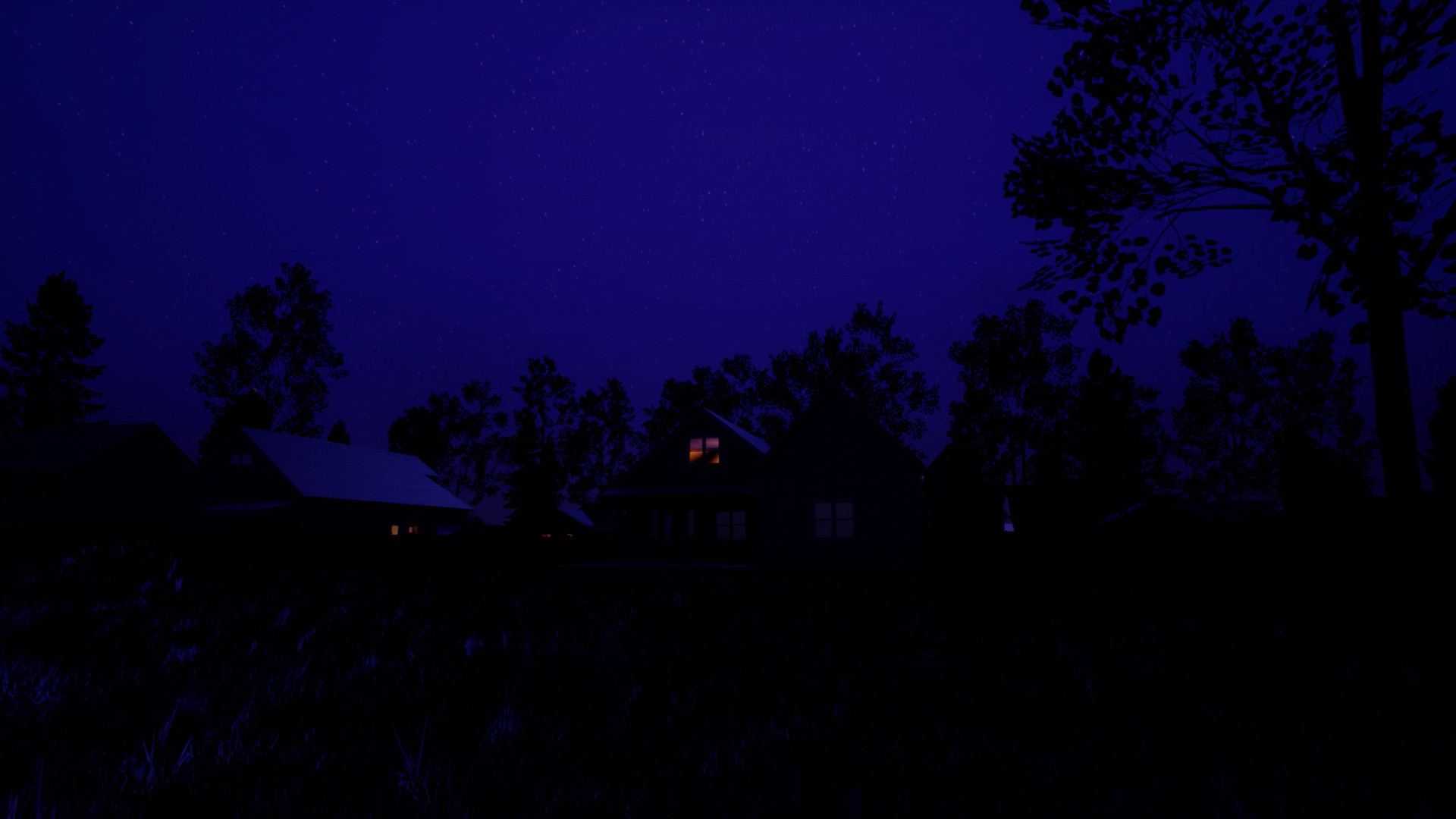 irenehouse screenshot 1