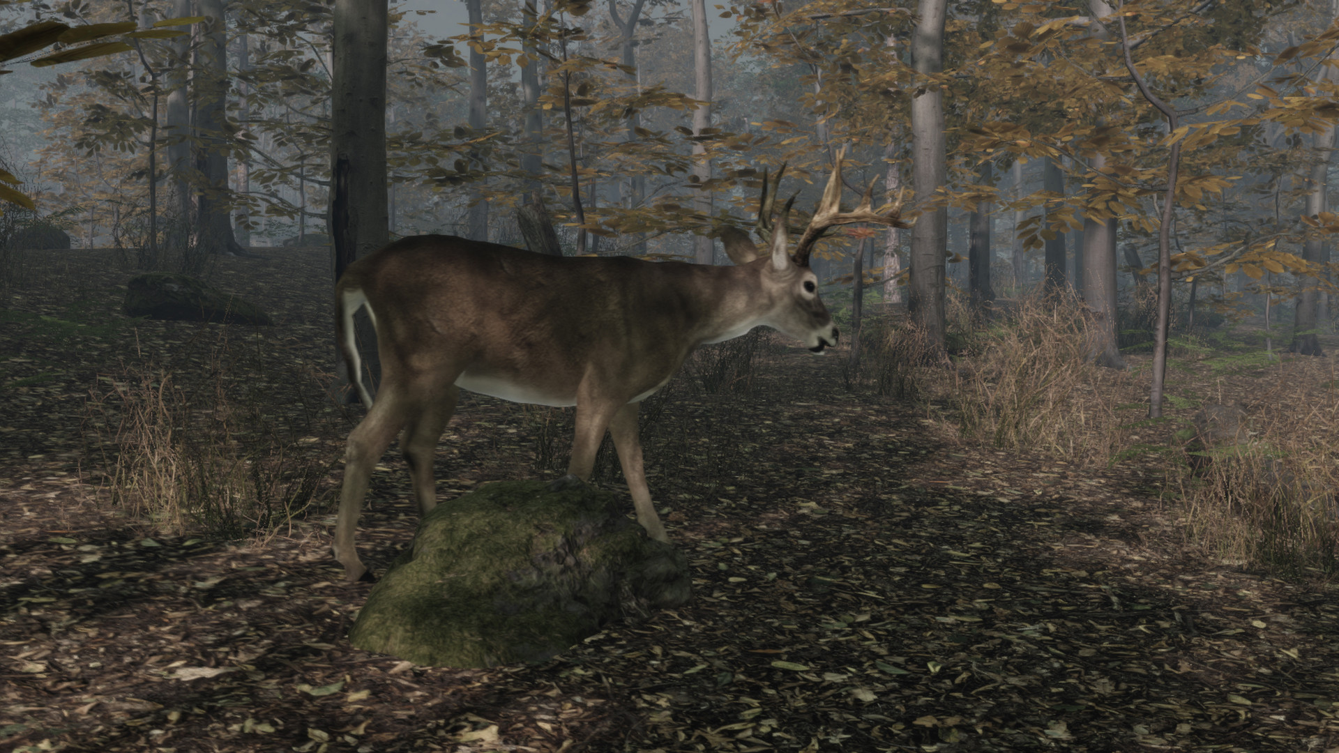 Pro Deer Hunting 2 screenshot 1