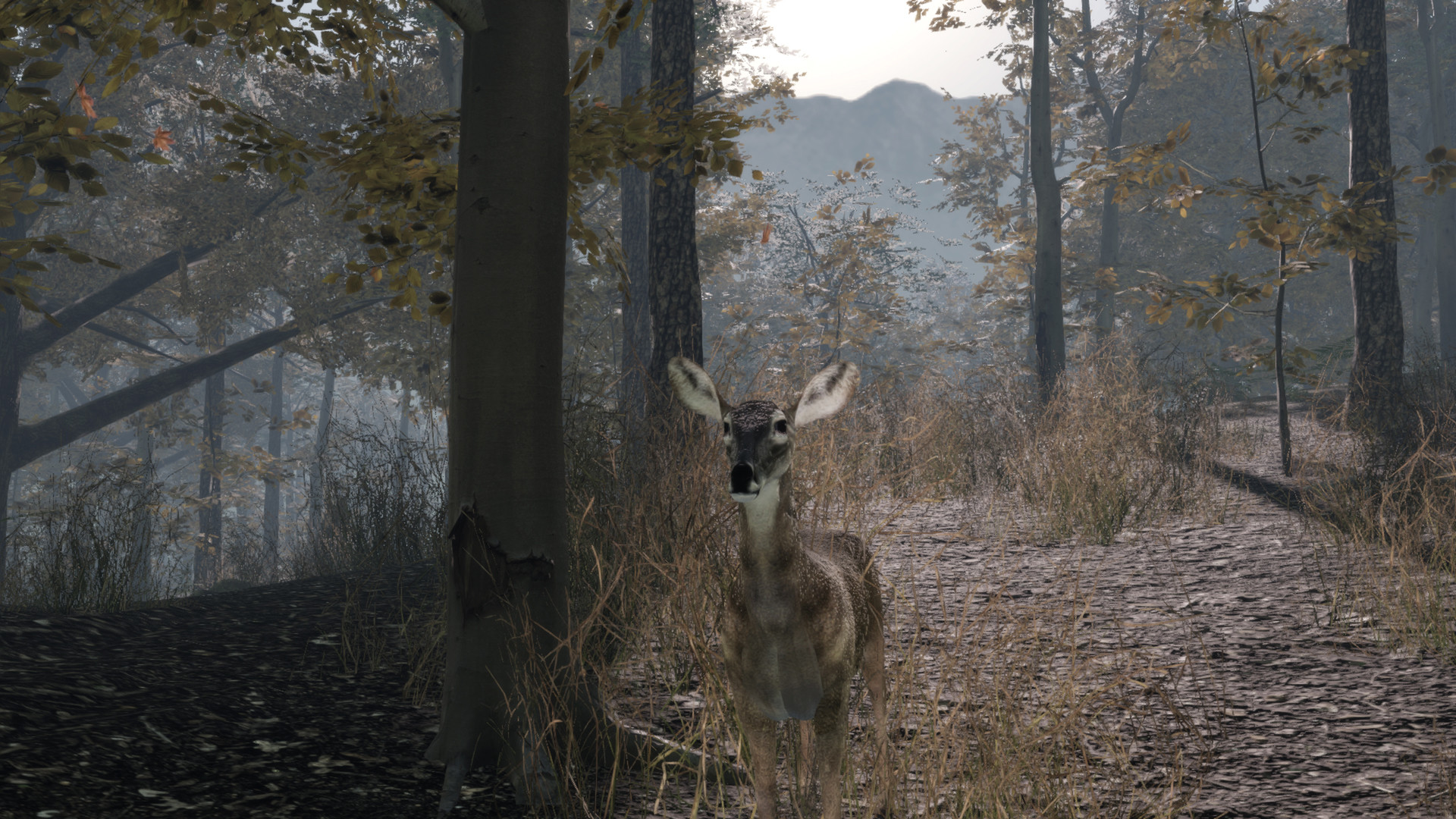 Pro Deer Hunting 2 screenshot 8