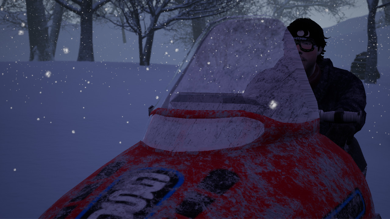 ArcticBoy Story screenshot 1