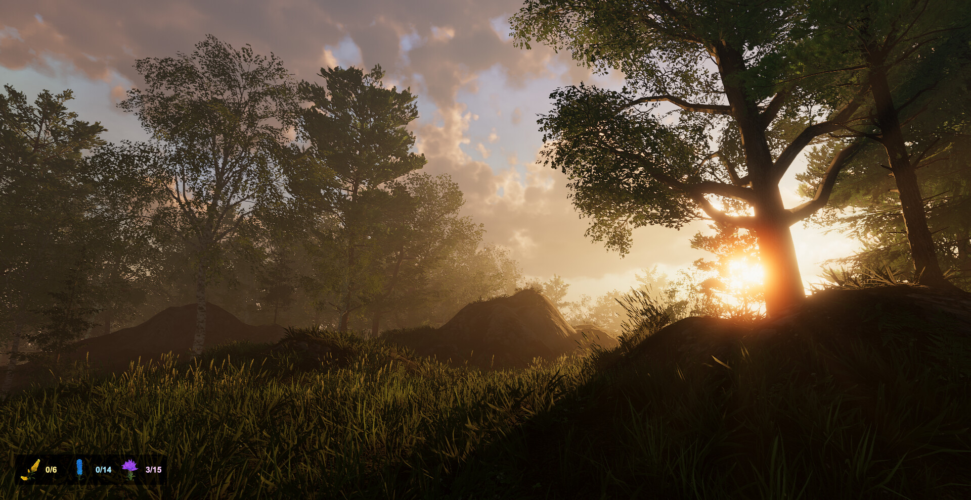 Wild Isles screenshot 13