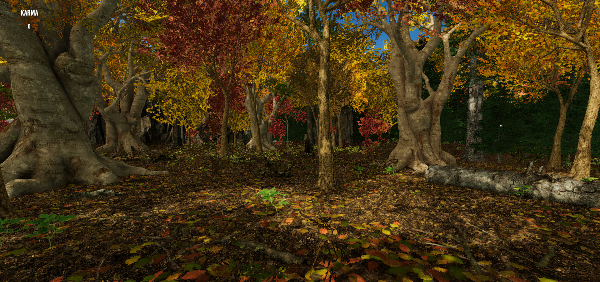 Gander National Park screenshot 15