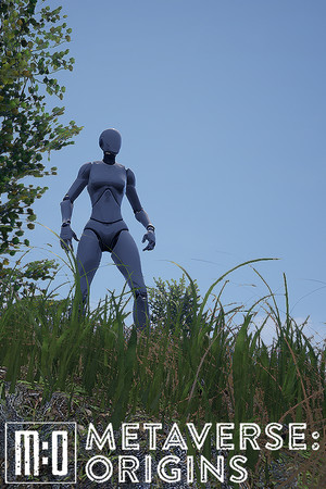 Metaverse: Origins