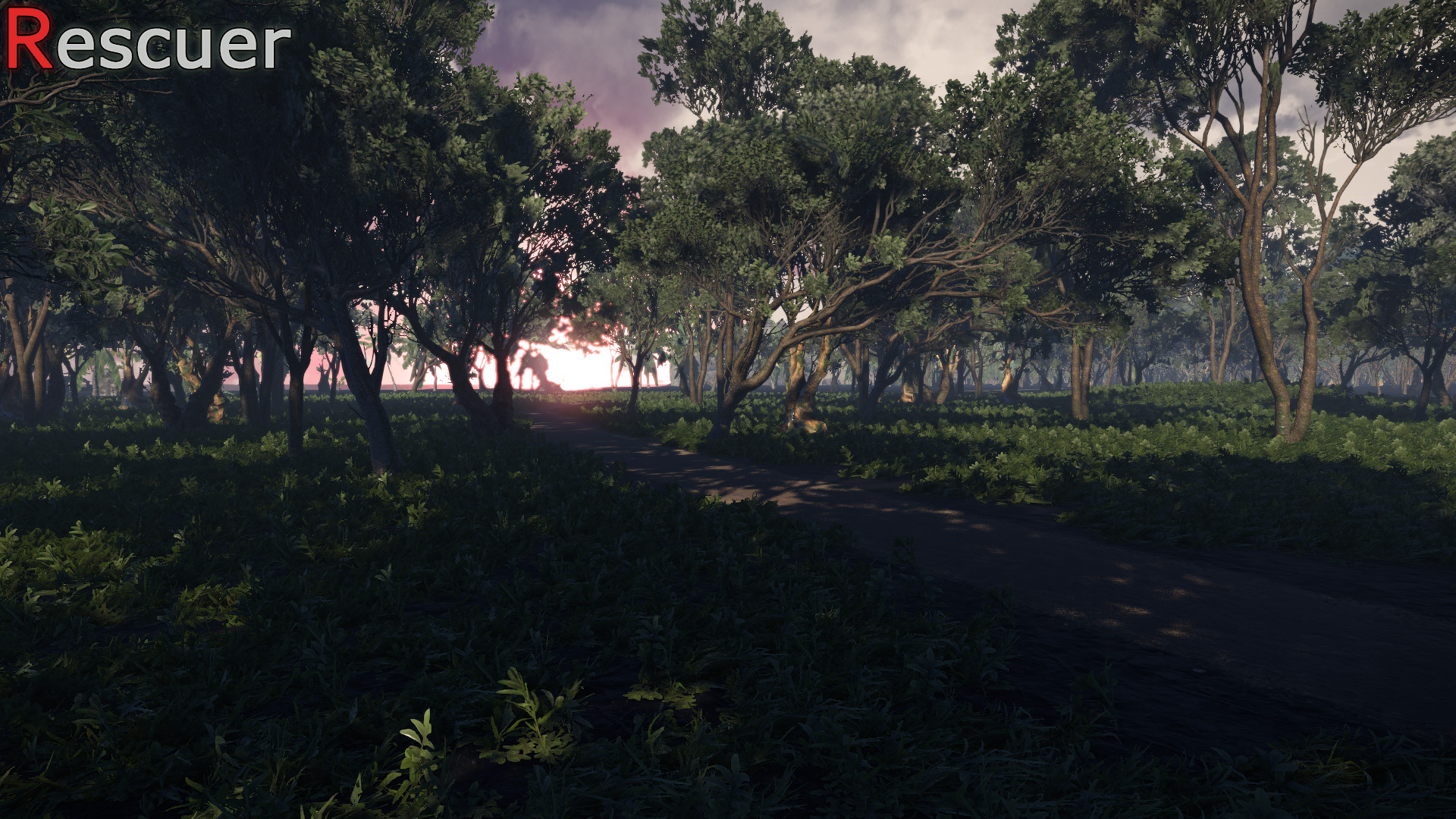 Rescuer screenshot 5