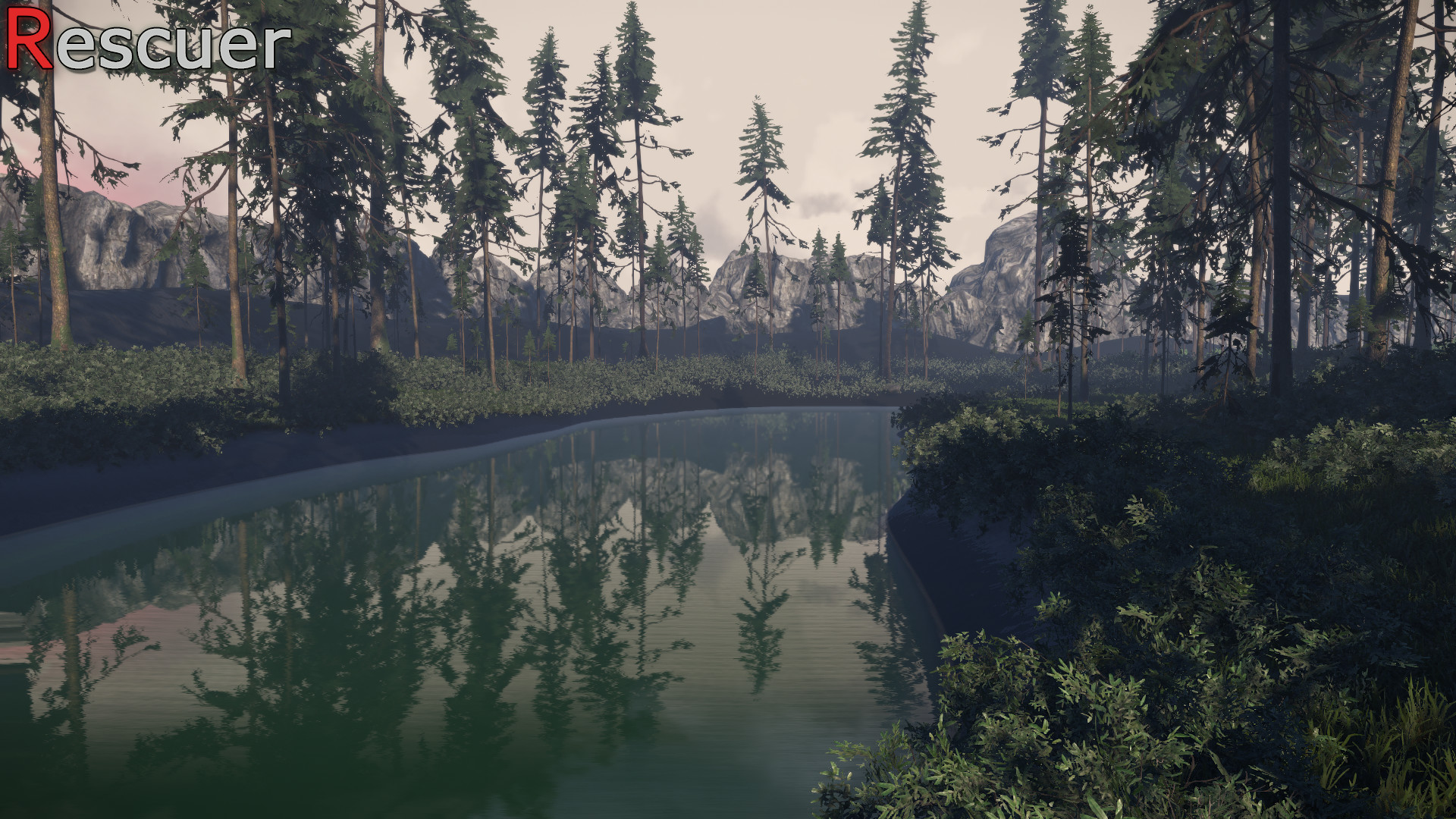 Rescuer screenshot 4