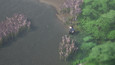Screenshot #6