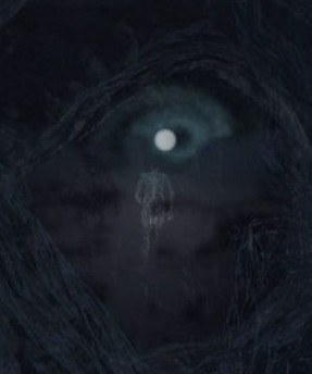 Virtual Near Death Experience screenshot 6