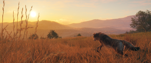 TheHunter: Call of the Wild - Rancho del Arroyo thumbnail