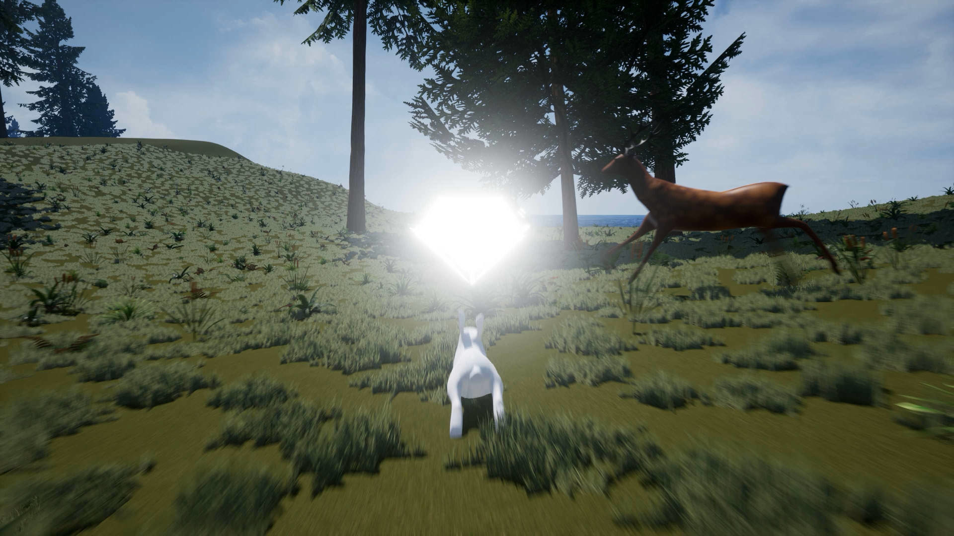 Bunny's Buddy screenshot 5