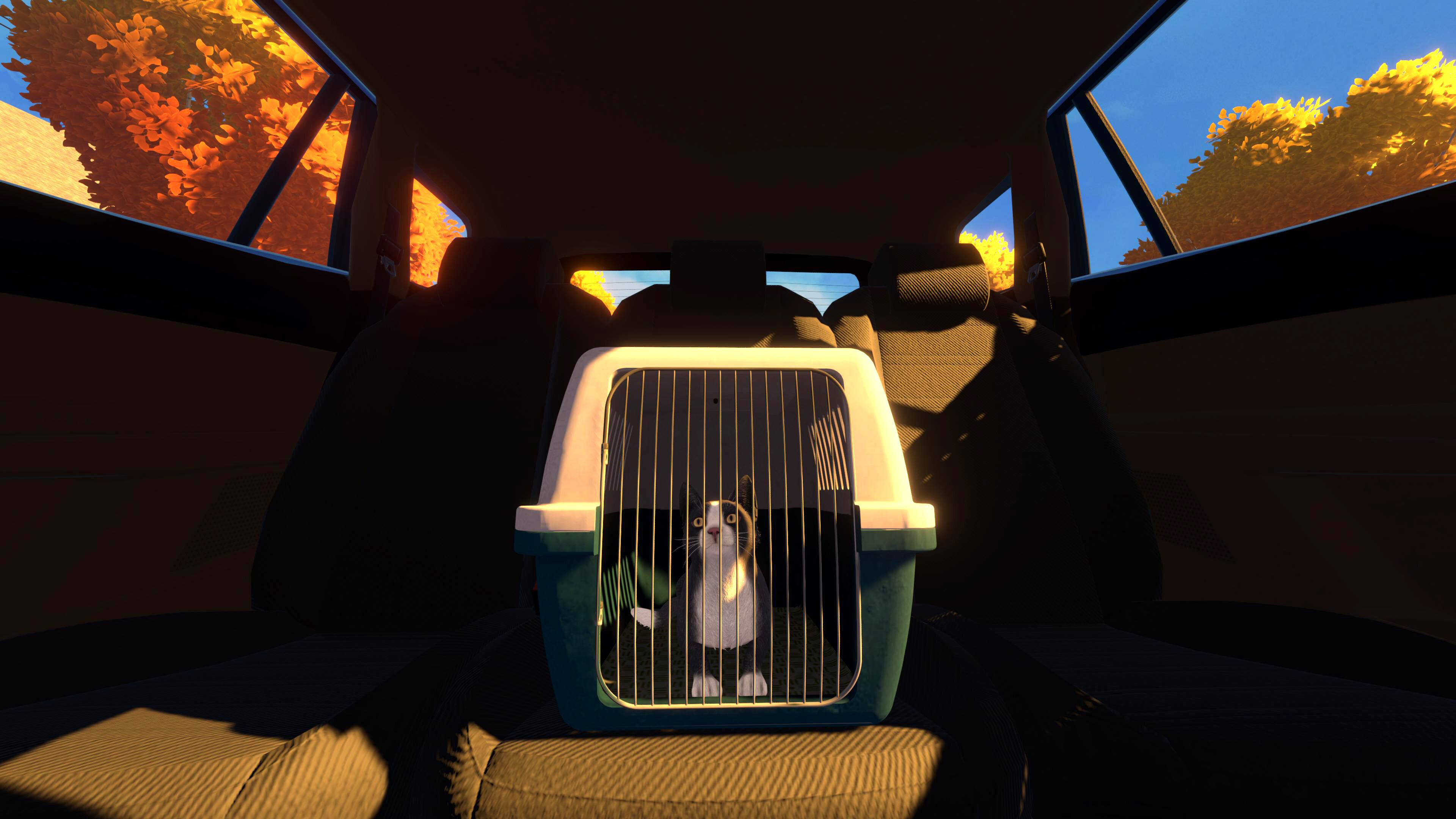 Copycat screenshot 11