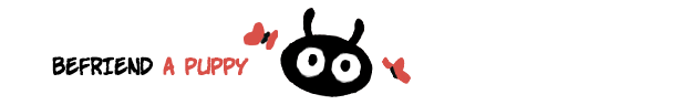 Koira