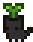Sprout_Kitten.gif