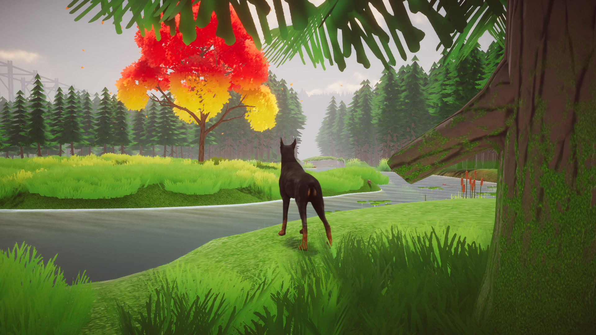 Django screenshot 1