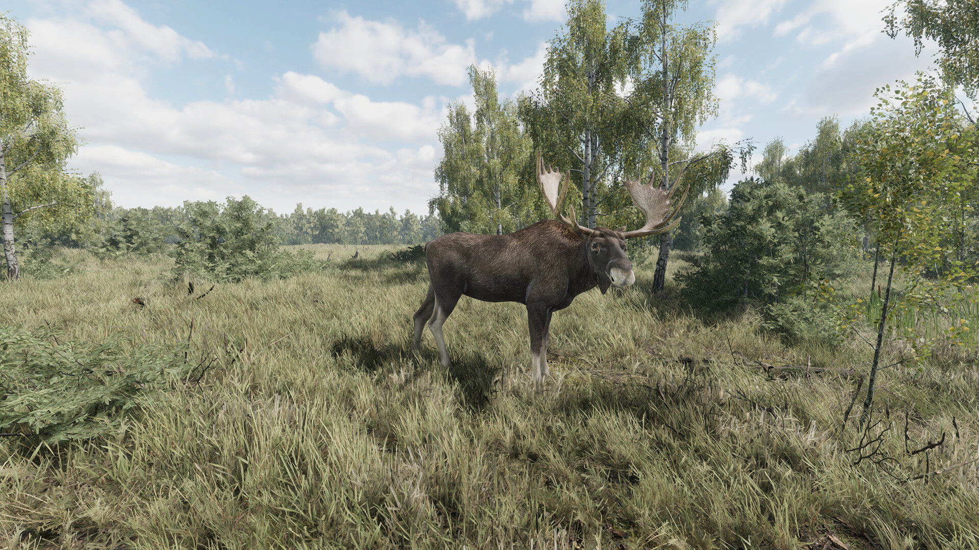 On the Hunt screenshot 7