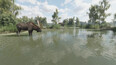 Screenshot #5