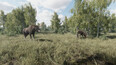 Screenshot #11