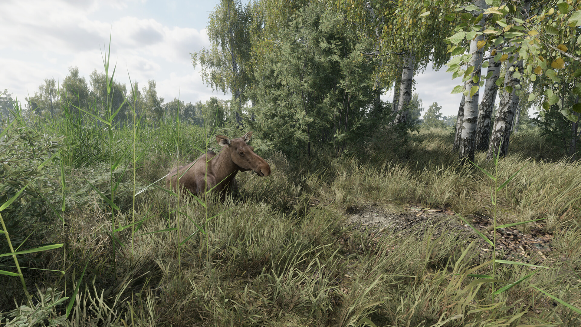 On the Hunt screenshot 12