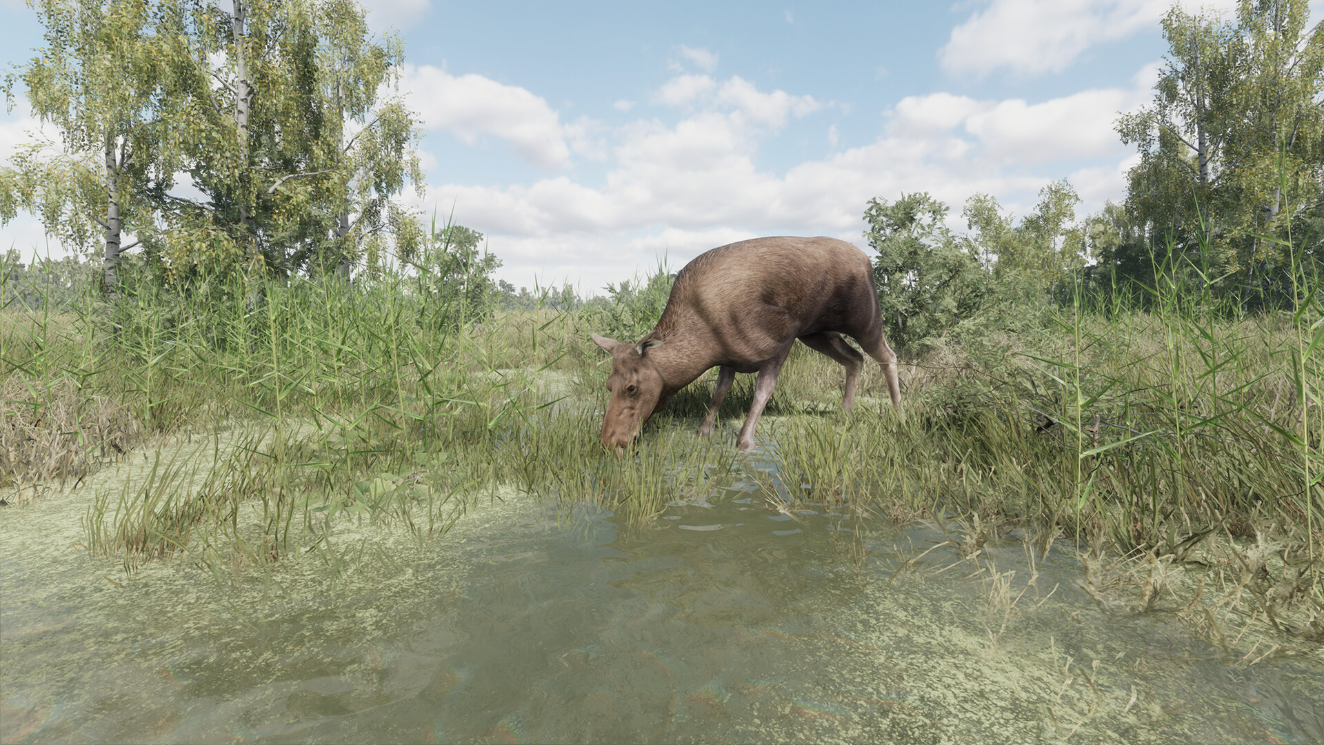 On the Hunt screenshot 9