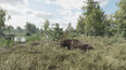 Screenshot #8