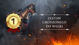 Zrzut ekranu nr 1