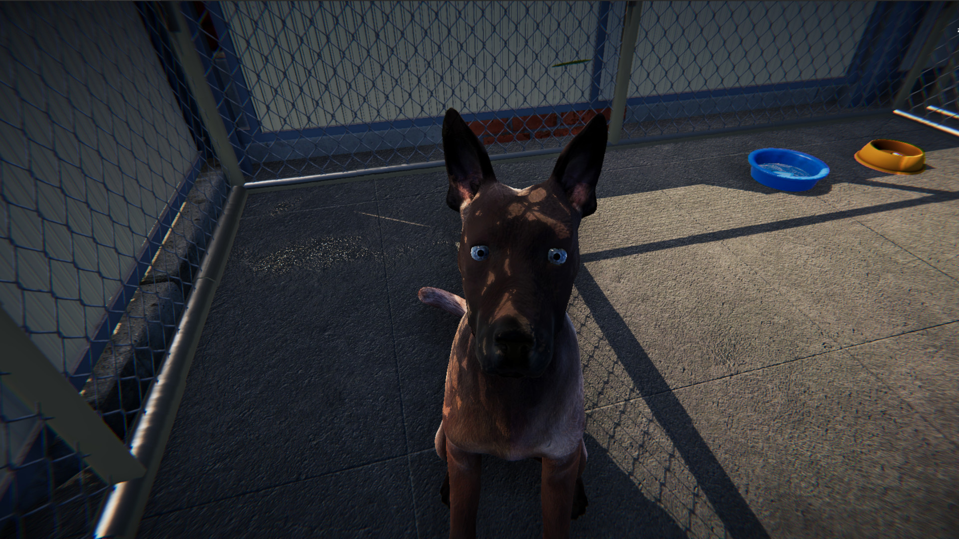 Animal Shelter: Prologue screenshot 6