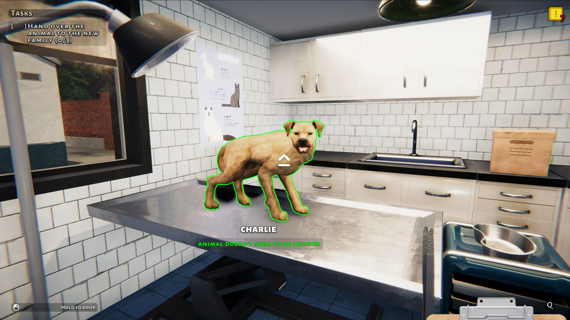 Animal Shelter: Prologue screenshot 9
