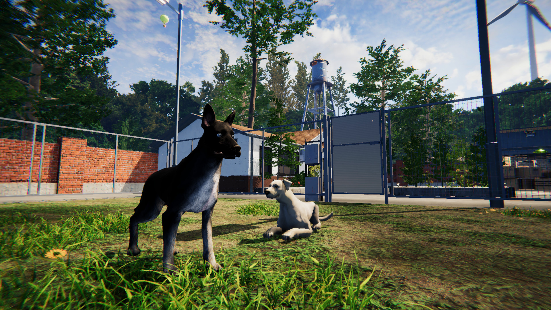 Animal Shelter: Prologue screenshot 10