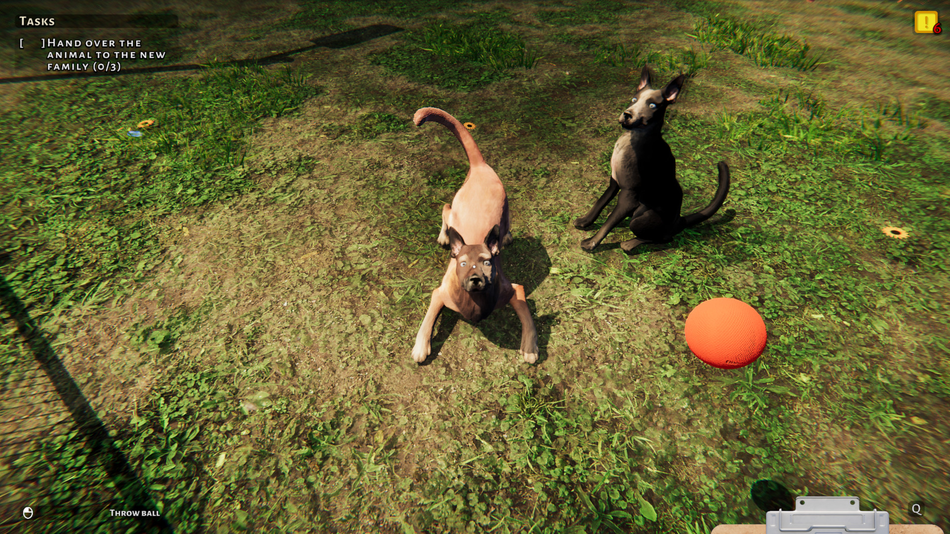 Animal Shelter: Prologue screenshot 3