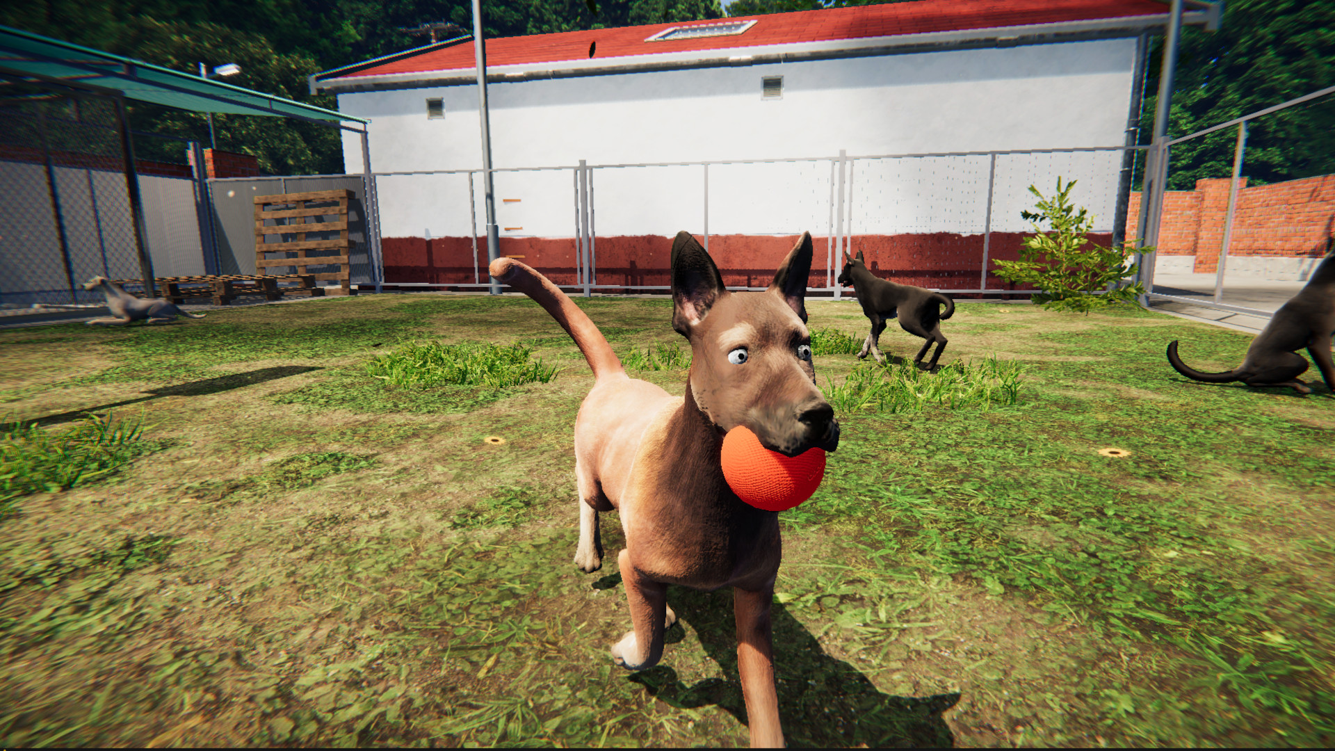 Animal Shelter: Prologue screenshot 2