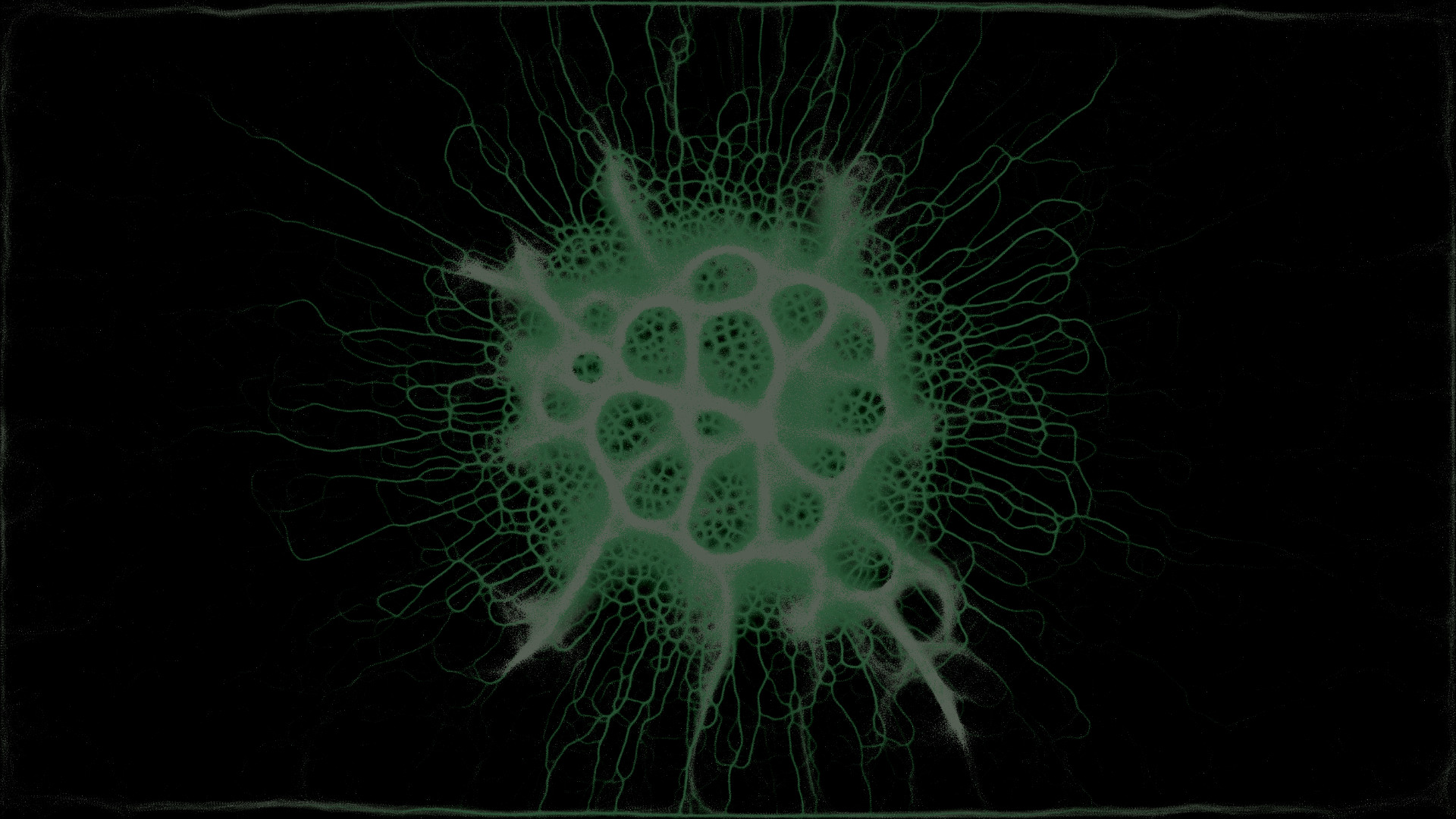 PHYSARUM: Slime Mold Simulator screenshot 8