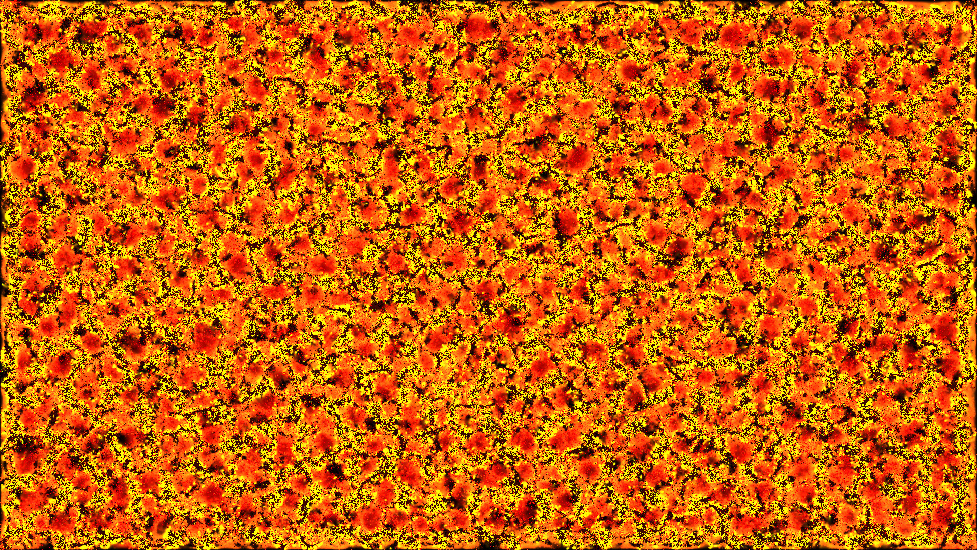 PHYSARUM: Slime Mold Simulator screenshot 11