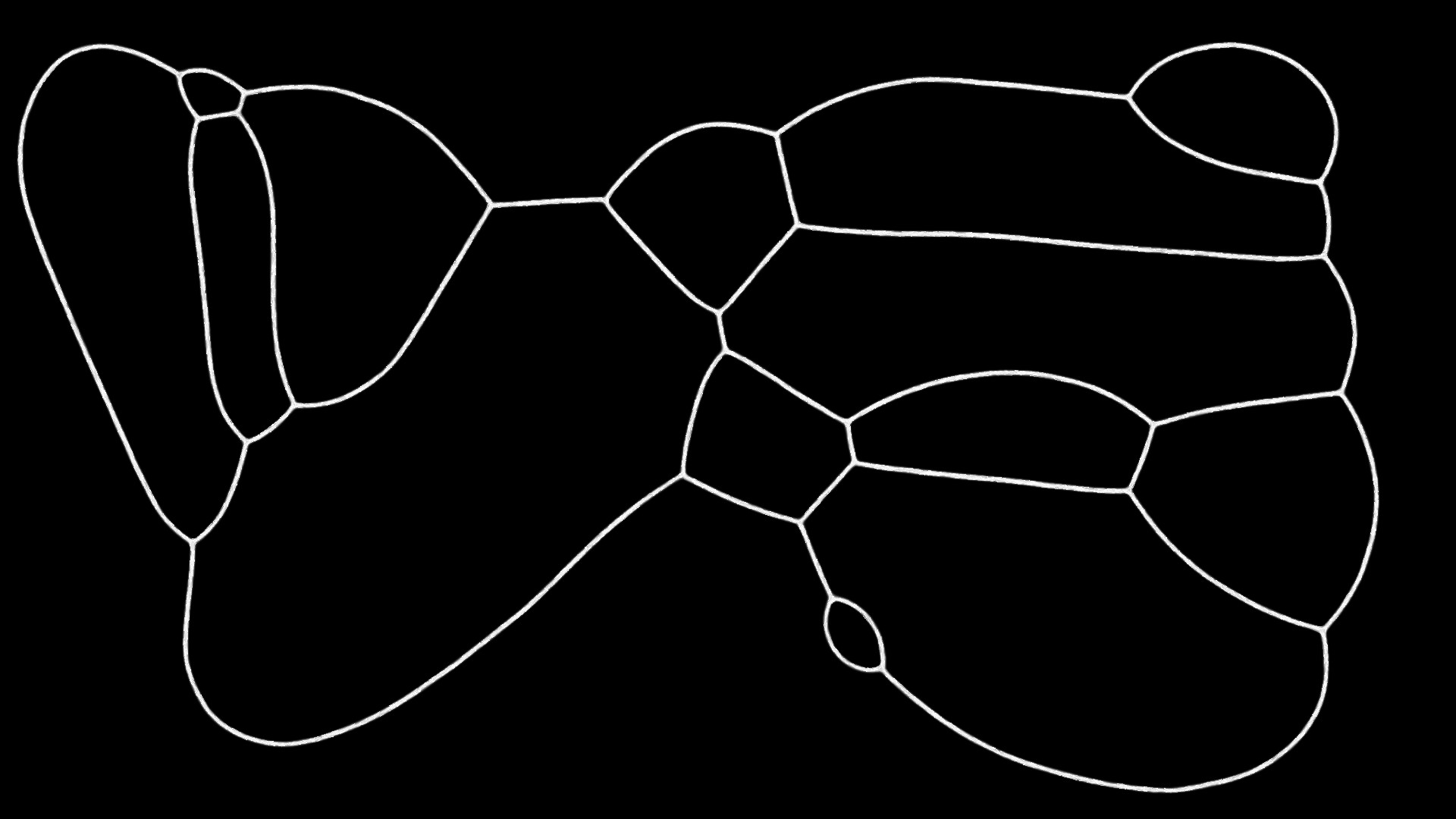PHYSARUM: Slime Mold Simulator screenshot 7