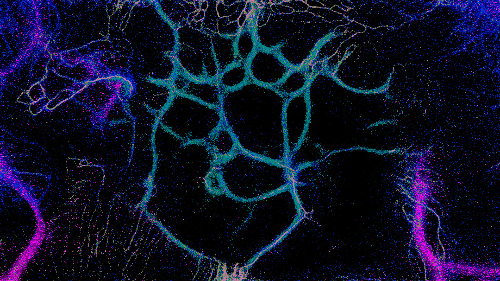 PHYSARUM: Slime Mold Simulator screenshot 13