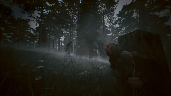 Movie cover image