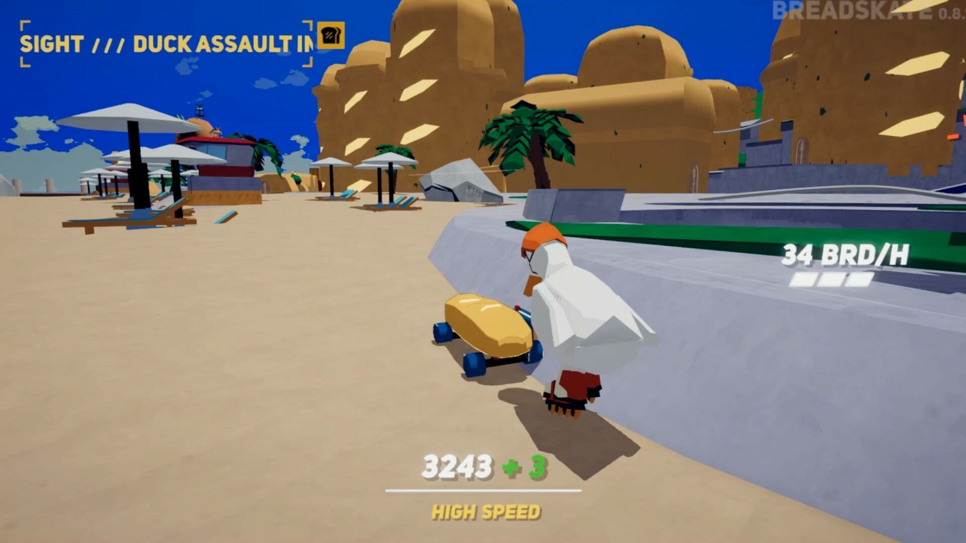 BRDSKT screenshot 3