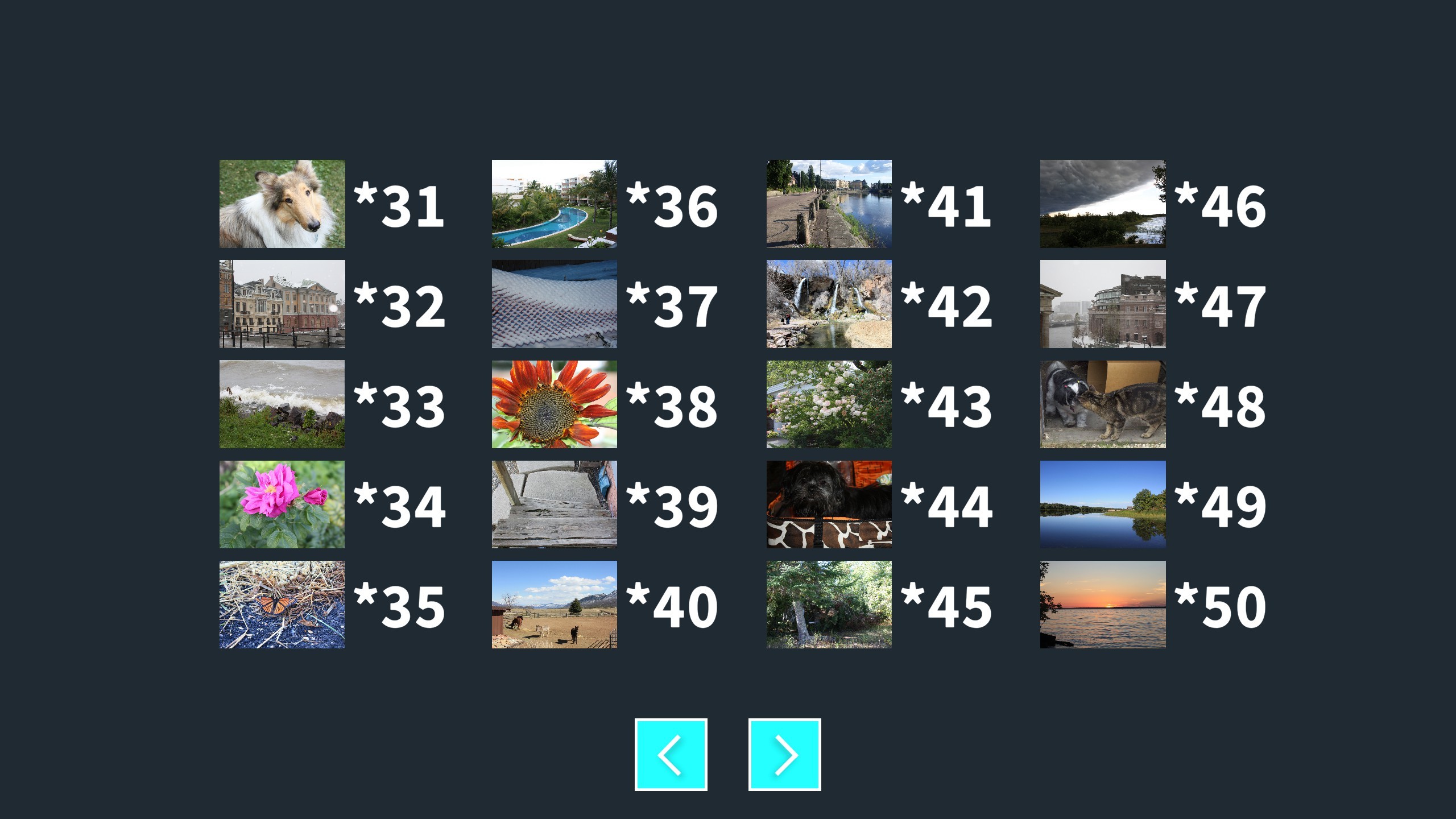 StOoPiD Puzzle Game screenshot 18