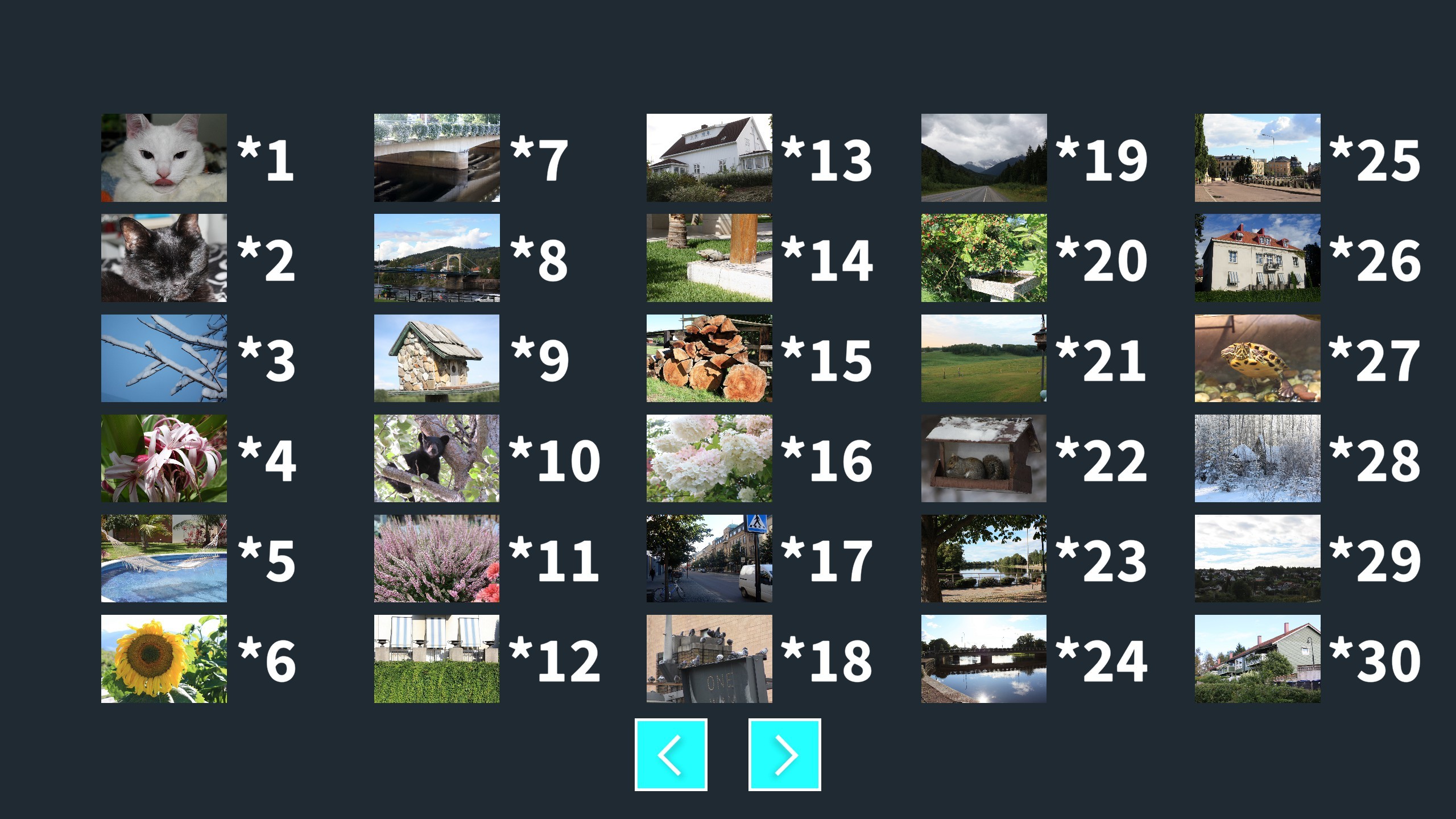 StOoPiD Puzzle Game screenshot 17