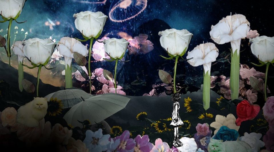 Purgo box screenshot 2