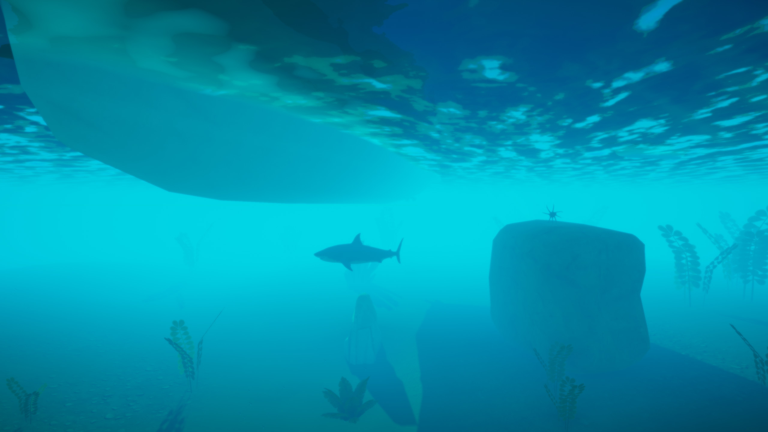 Dream Mirror screenshot 7