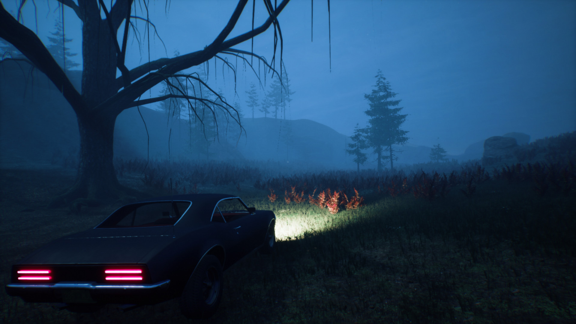 Welcome to PINEHILLS screenshot 11