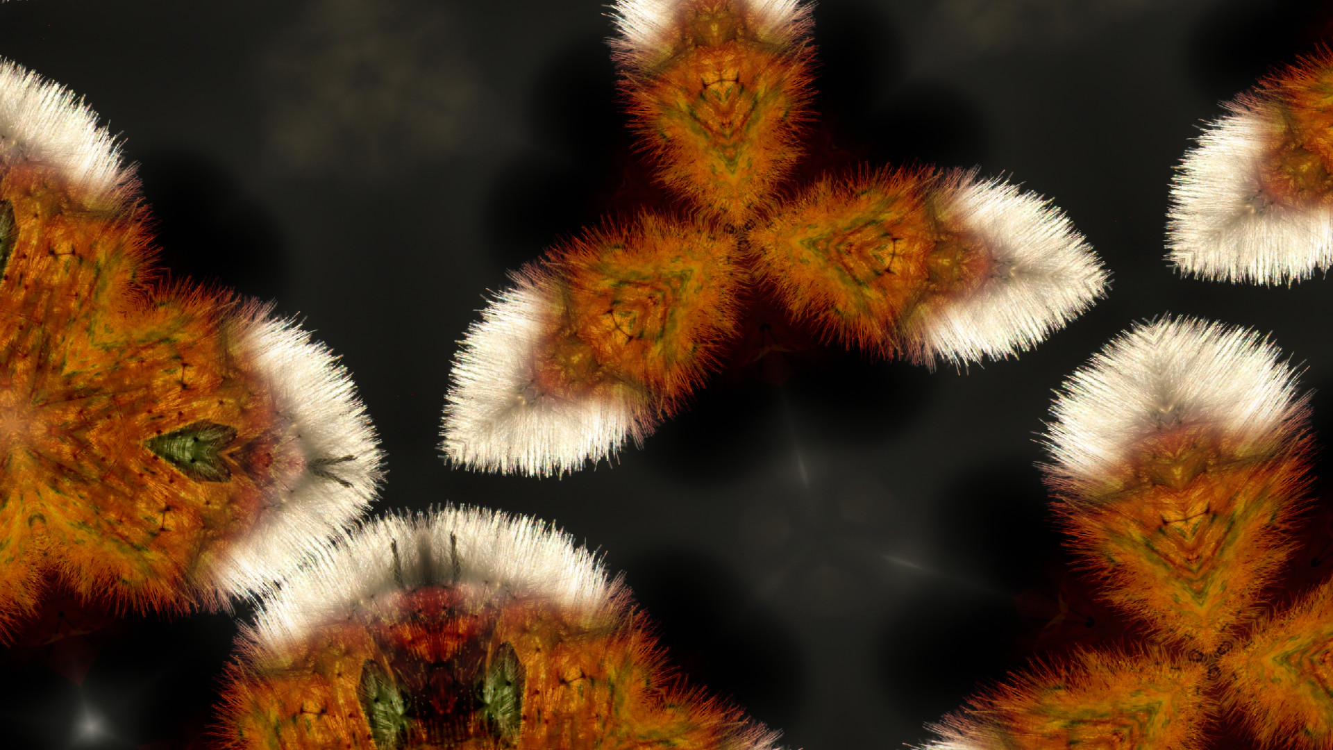 Kaleye screenshot 33
