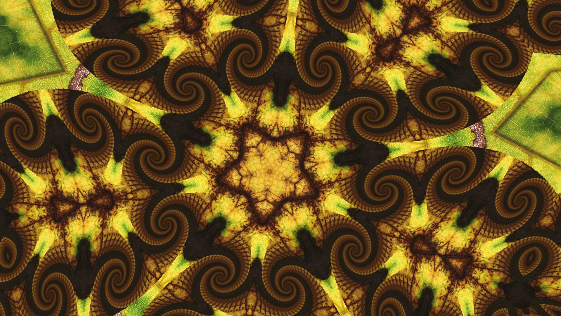 Kaleye screenshot 22