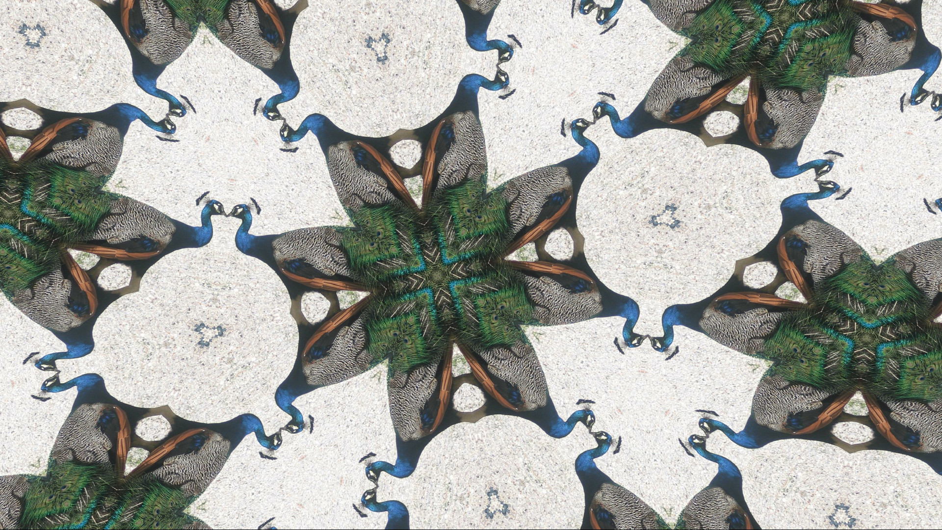Kaleye screenshot 42