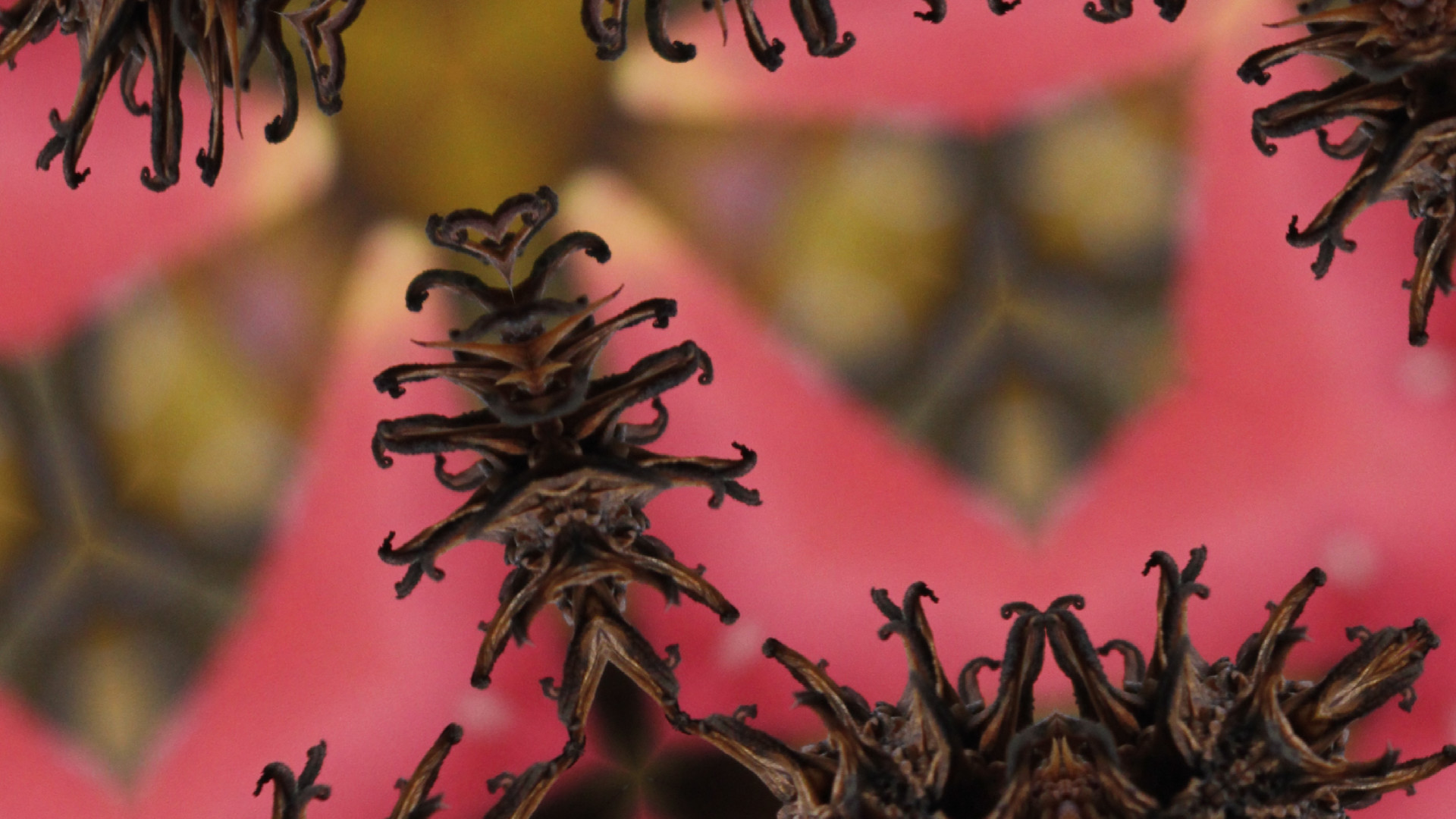 Kaleye screenshot 45