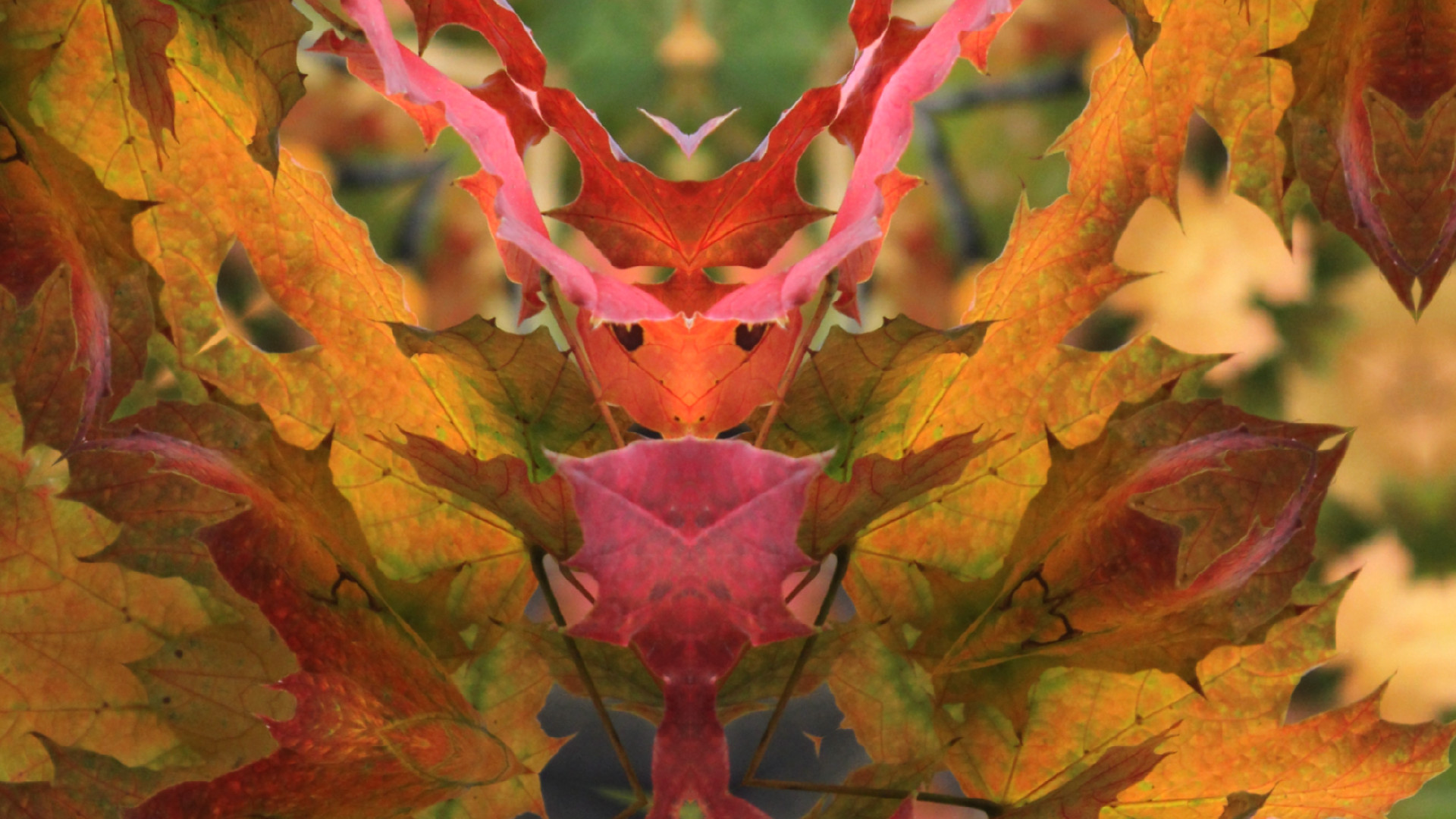 Kaleye screenshot 5