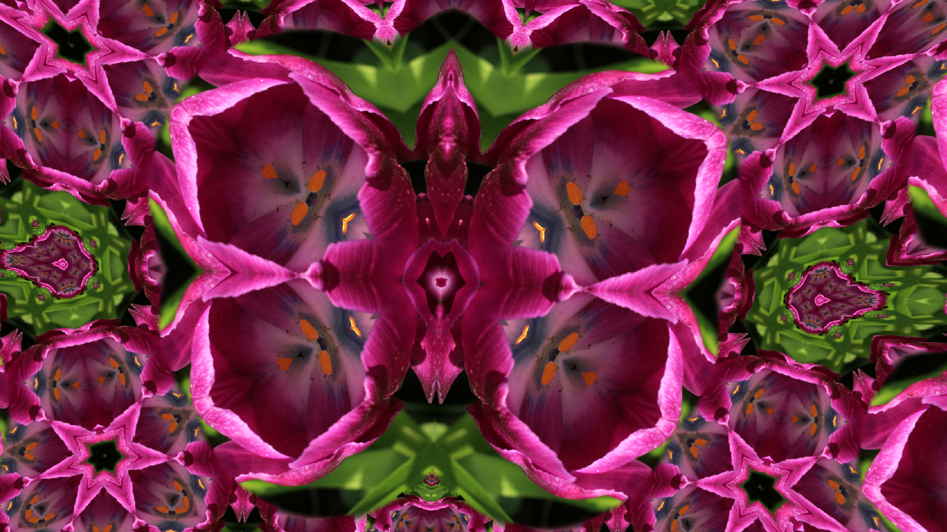 Kaleye screenshot 43