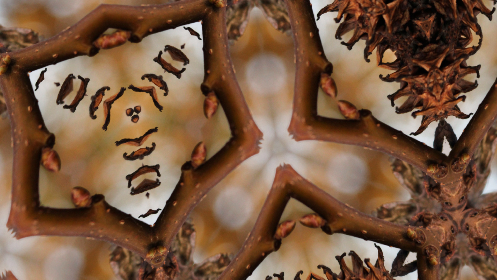 Kaleye screenshot 31
