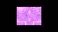 Screenshot 22
