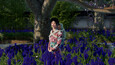 A screenshot of Sengoku Dynasty